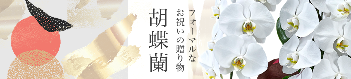 胡蝶蘭特集
