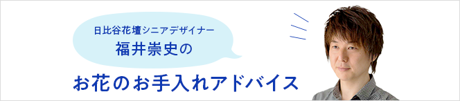 お花のお手入れアドバイス
