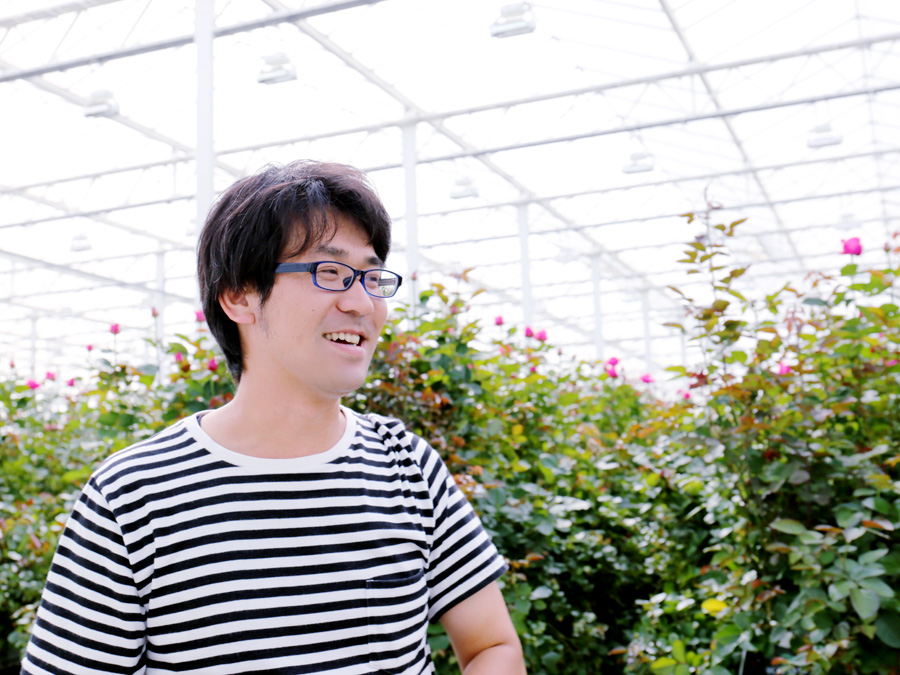 バラ栽培50年で培われた経験を活かして