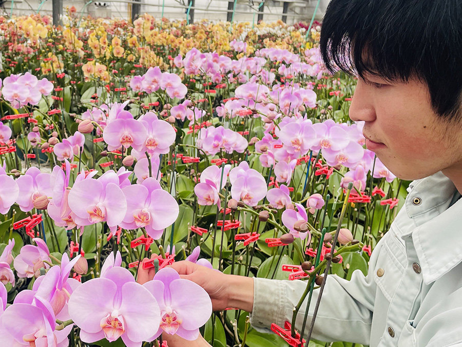 子どもを育てるのと同じように