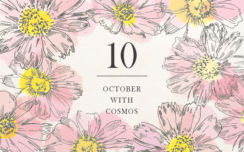 自宅で楽しむコラム「FLOWER STORY」神無月を「コスモス」で楽しむ｜フラワーギフト通販