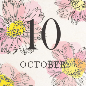 神無月を「コスモス」で楽しむ