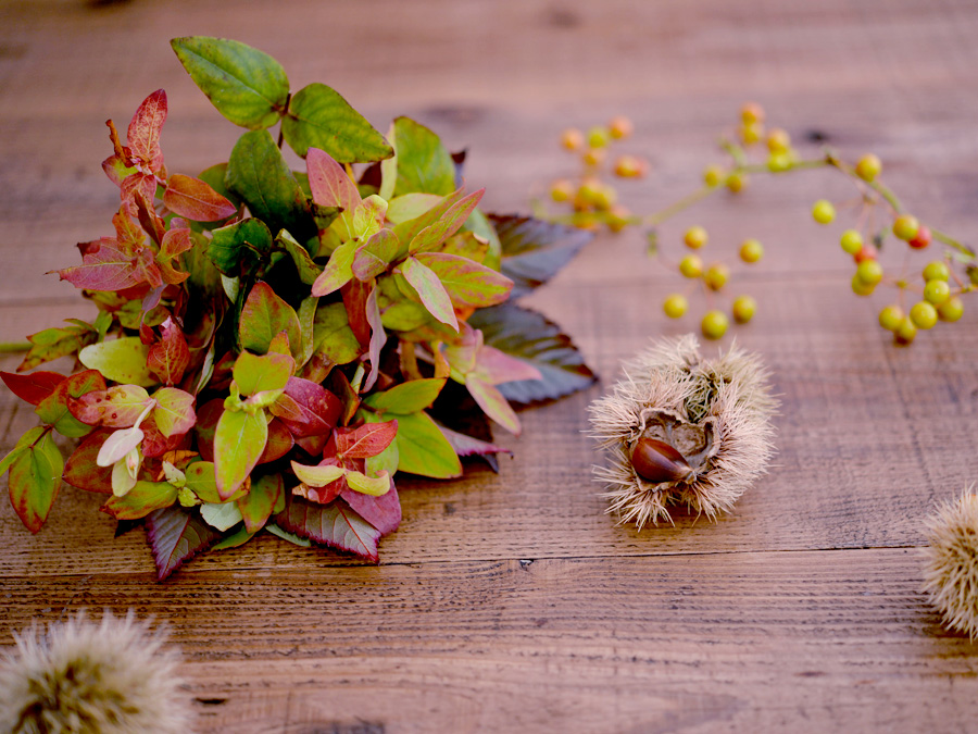 全身で感じて楽しむ秋「紅葉」