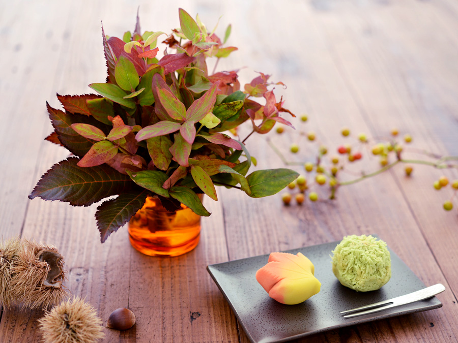 季節の移ろいを楽しむ11月