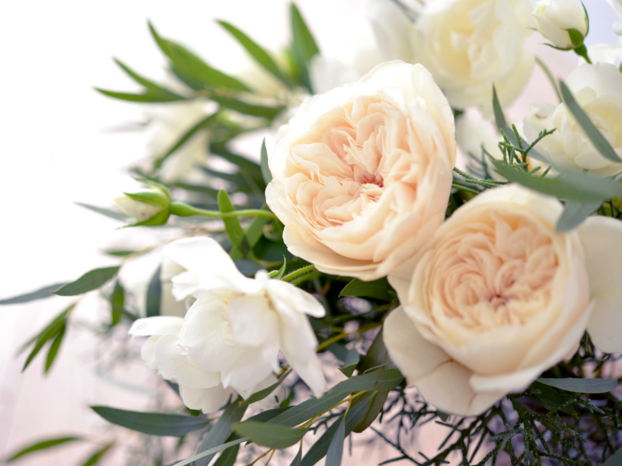 唯一無二の存在感を持つ花の女王「バラ」