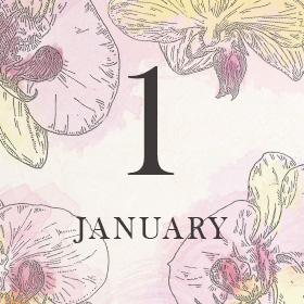 睦月を「コチョウラン」で楽しむ