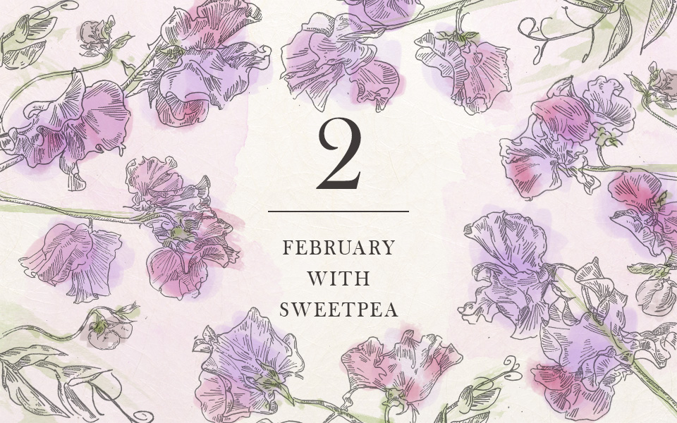 自宅で楽しむコラム「FLOWER STORY」如月を「スイートピー」で楽しむ|フラワーギフト通販