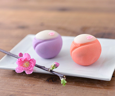 岡埜栄泉総本家 いろがみ