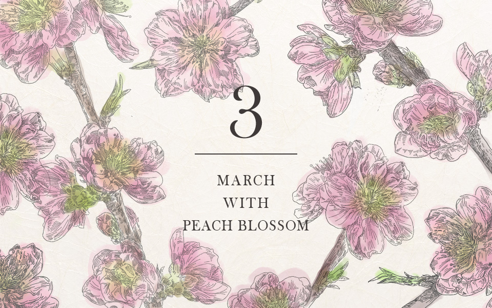 自宅で楽しむコラム「FLOWER STORY」弥生を「桃」で楽しむ|フラワーギフト通販