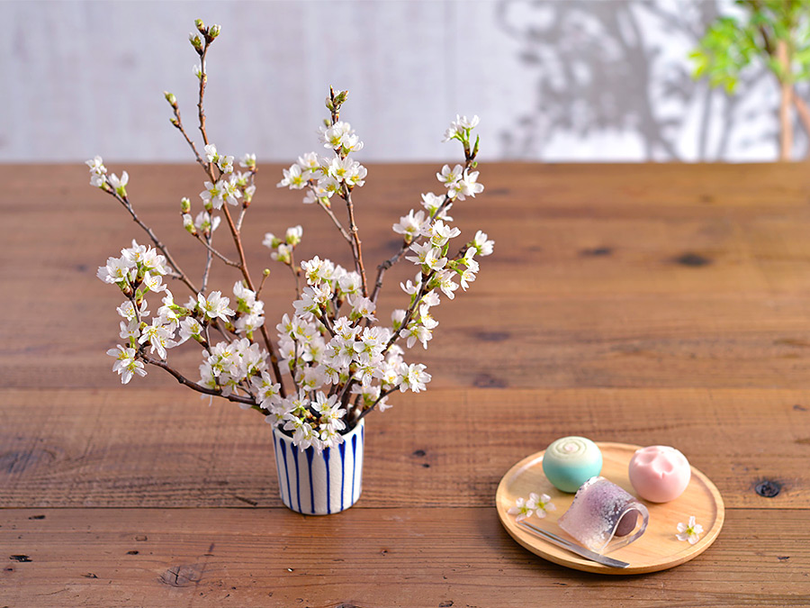 厳しい冬を乗り越えて迎える暖かい4月