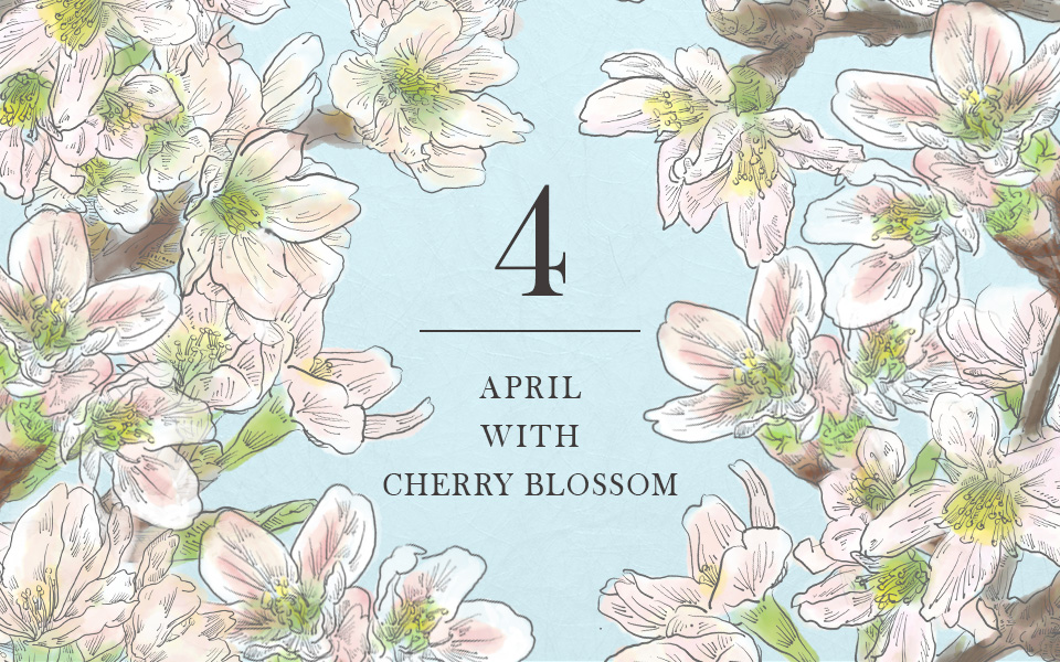 自宅で楽しむコラム「FLOWER STORY」卯月を「桜」で楽しむ|フラワーギフト通販