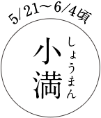 5/21~6/4頃 小満(しょうまん)
