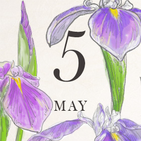 皐月を「花菖蒲」で楽しむ