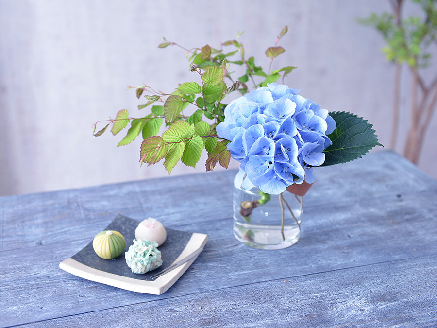 雨の日を有効に楽しむ6月