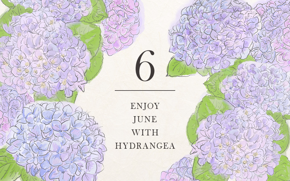 自宅で楽しむコラム「FLOWER STORY」水無月を「紫陽花」で楽しむ|フラワーギフト通販