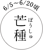 6/5~6/20頃 芒種(ぼうしゅ)