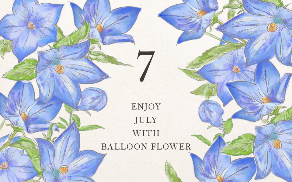 自宅で楽しむコラム「FLOWER STORY」文月を「桔梗」で楽しむ|フラワーギフト通販
