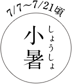 7/7~7/21頃 小暑(しょうしょ)