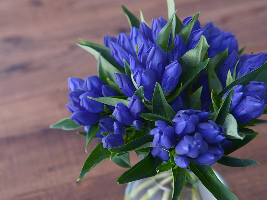 秋の訪れを告げる「リンドウ」