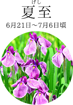 夏至（6月21日～7月6日頃）