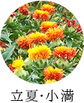 立夏・小満