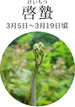 啓蟄（3月5日～3月19日頃）