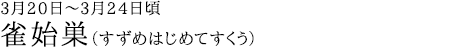 雀始巣（すずめはじめてすくう）3月20日～3月24日頃