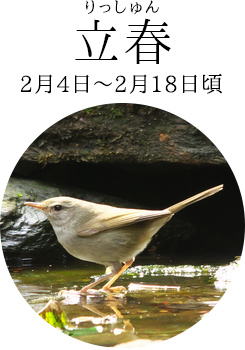 立春(2月4日~2月18日頃)