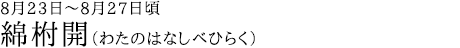綿柎開（わたのはなしべひらく）8月23日～8月27日頃