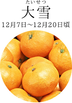 大雪（12月7日～12月20日頃）