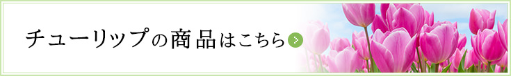 チューリップのアイテムはこちら