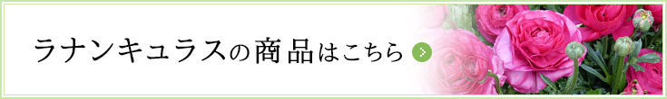 ラナンキュラスのアイテムはこちら
