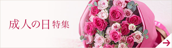 成人の日特集