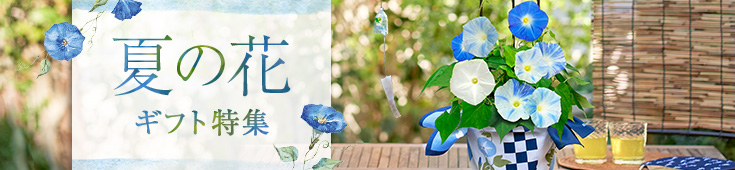 夏の花ギフト特集
