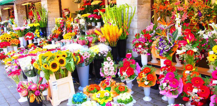 母の日に贈る花の種類は何が良い？花店での花の買い方・選び方