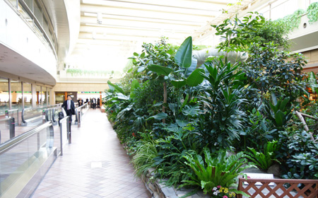 ショッピングモールにあるビオトープ