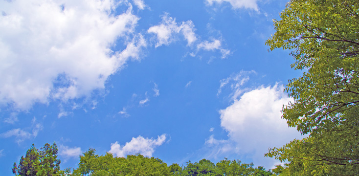 お中元の時期はいつ？地域別の時期や贈るときのマナー・注意点などを解説