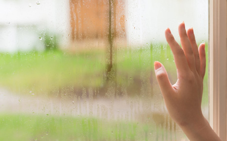 室内の窓から雨の様子をみる