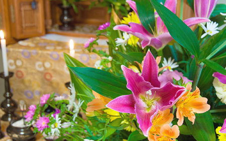 仏前のユリ