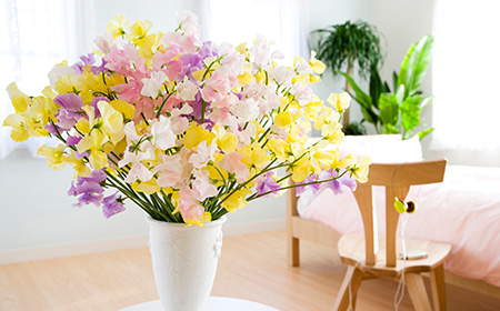 スイートピーの品種・種類