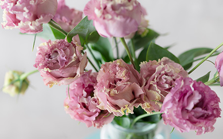 リシアンサスフリンジ咲きの品種