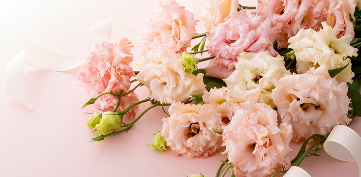 トルコキキョウ（リシアンサス）の花言葉とは？花言葉や由来、品種をご紹介