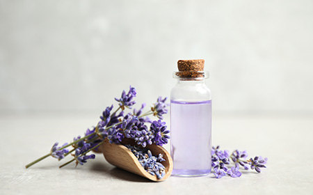 ラベンダーの香りの効果・効能