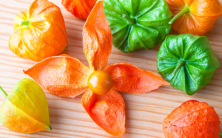 ホオズキ（ほおずき／鬼灯）の実