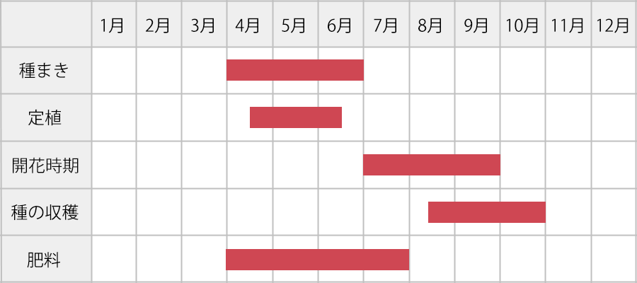ヒマワリ（ひまわり／向日葵）の育て方：年間カレンダー