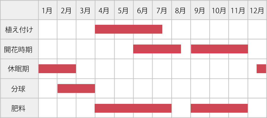 ダリアの育て方：年間カレンダー