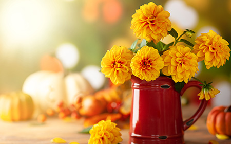 黄色いダリアの花