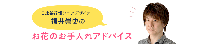 お花のお手入れアドバイス