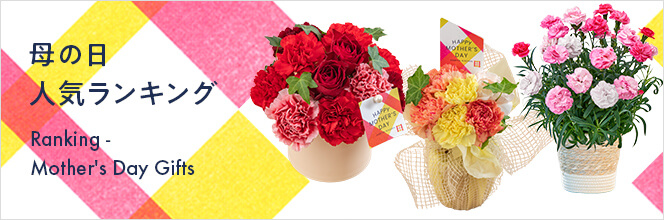 母の日人気ランキングはこちら
