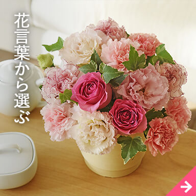 花言葉から選ぶ